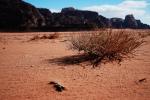 Wadi_Rum_07.jpg