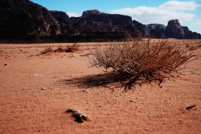 Wadi_Rum_07.jpg