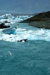 jokulsarlon_10.jpg