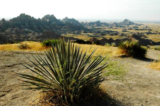 Badlands_08.jpg