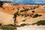 Bryce_Canyon_16.jpg