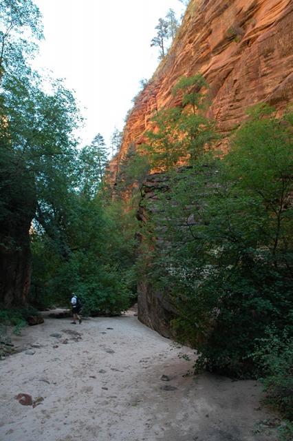 Zion_06.jpg