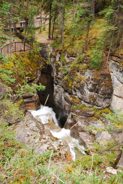 Maligne Canyon