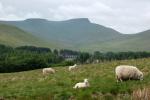 Brecon Beacons