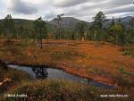 Národní park Anderdalen