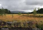 Blafjella Skjaerfjella (Národní park)