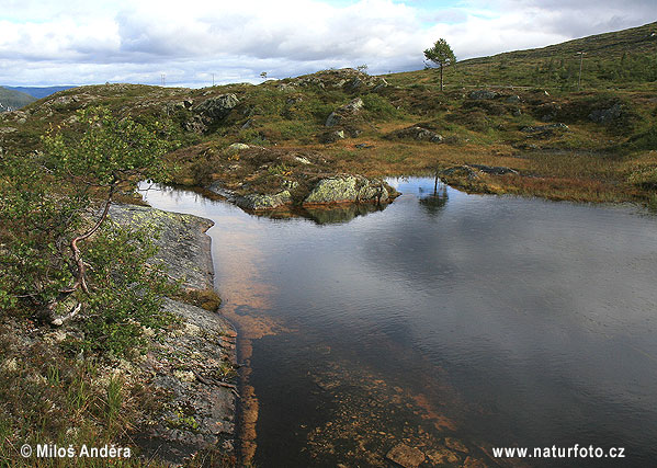 Blafjella Skjaerfjella