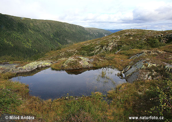 Blafjella Skjaerfjella