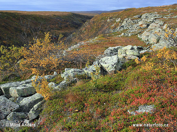 Národní park Varanger