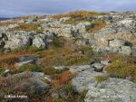 Národní park Varanger