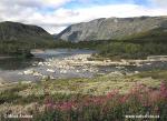 Národní park Dovrefjell