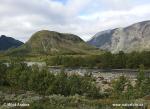 Národní park Dovrefjell