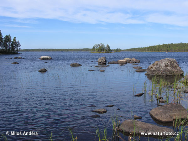 Národní park Salamajarvi