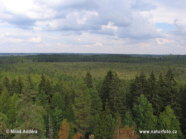 Národní park Torronsuo