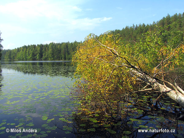 Národní park Nuuksio