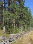 Národní park Liesjarvi