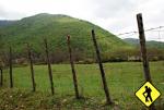 Národní park Abruzzo