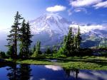 Mount Rainier (Národní park)