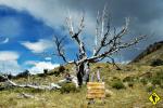 Národní park Los Glaciares