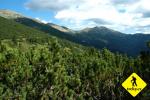 Nízké Tatry