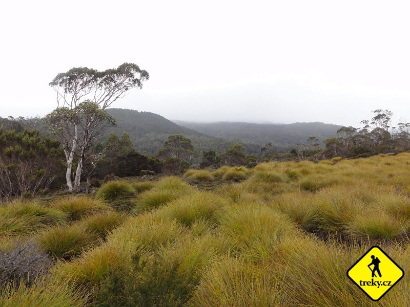 Overland Track