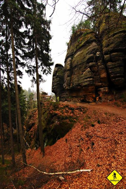 Jetřichovické skály